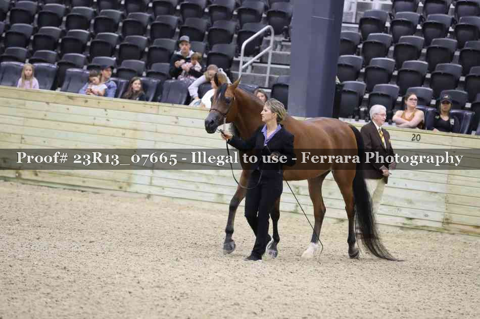 Proof 23R13_07665