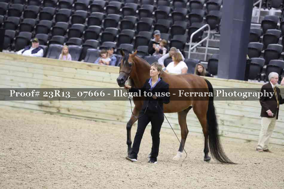 Proof 23R13_07666