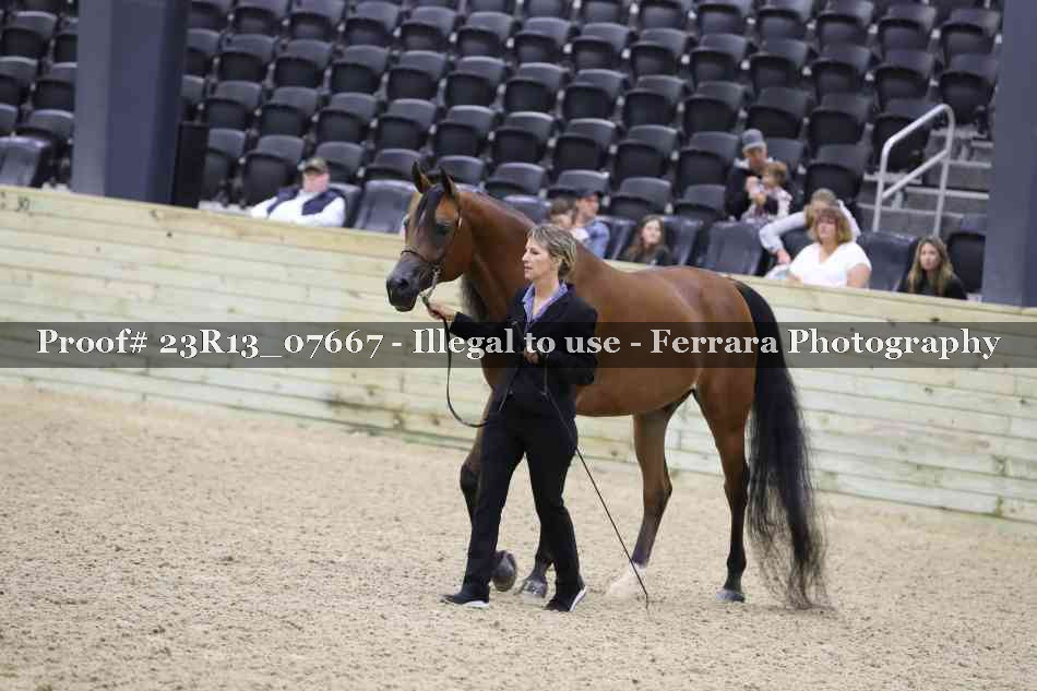 Proof 23R13_07667