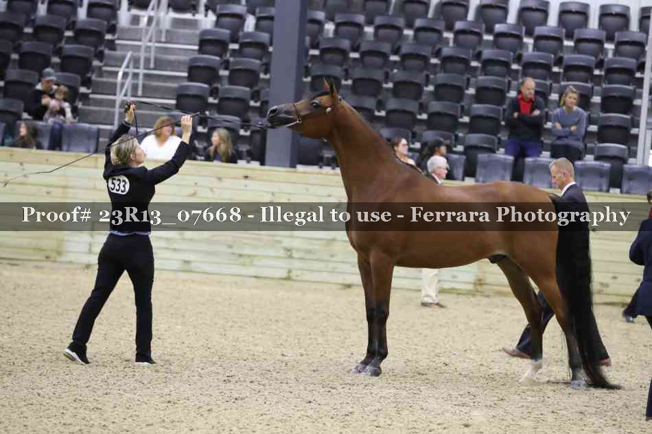 Proof 23R13_07668