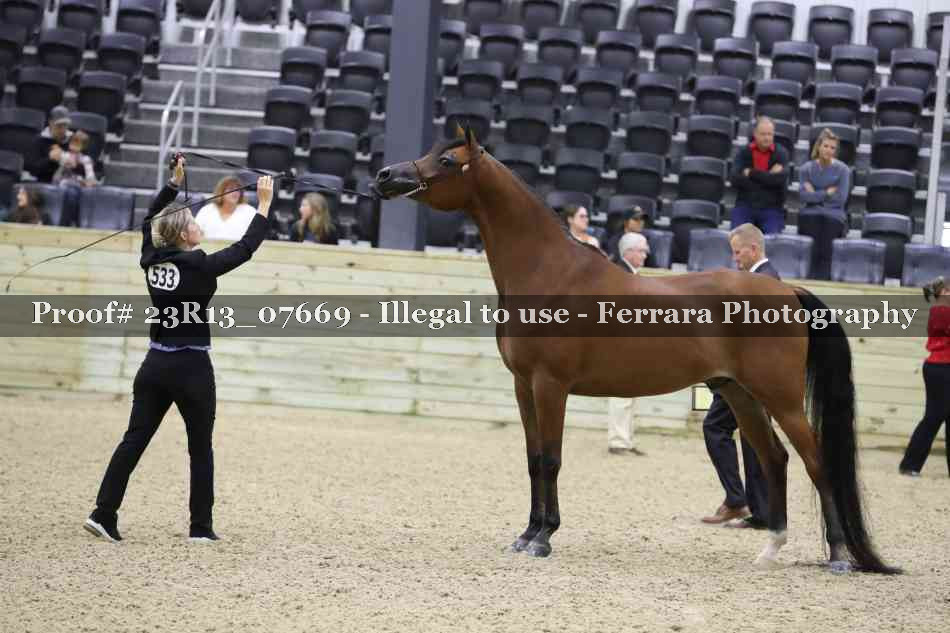 Proof 23R13_07669