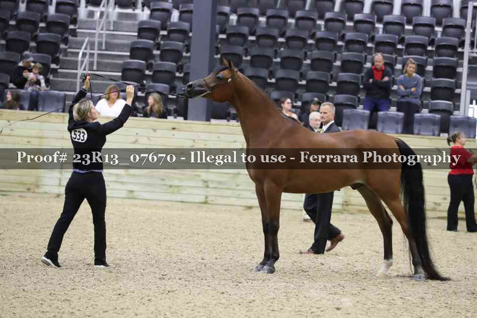 Proof 23R13_07670