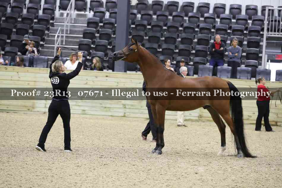 Proof 23R13_07671