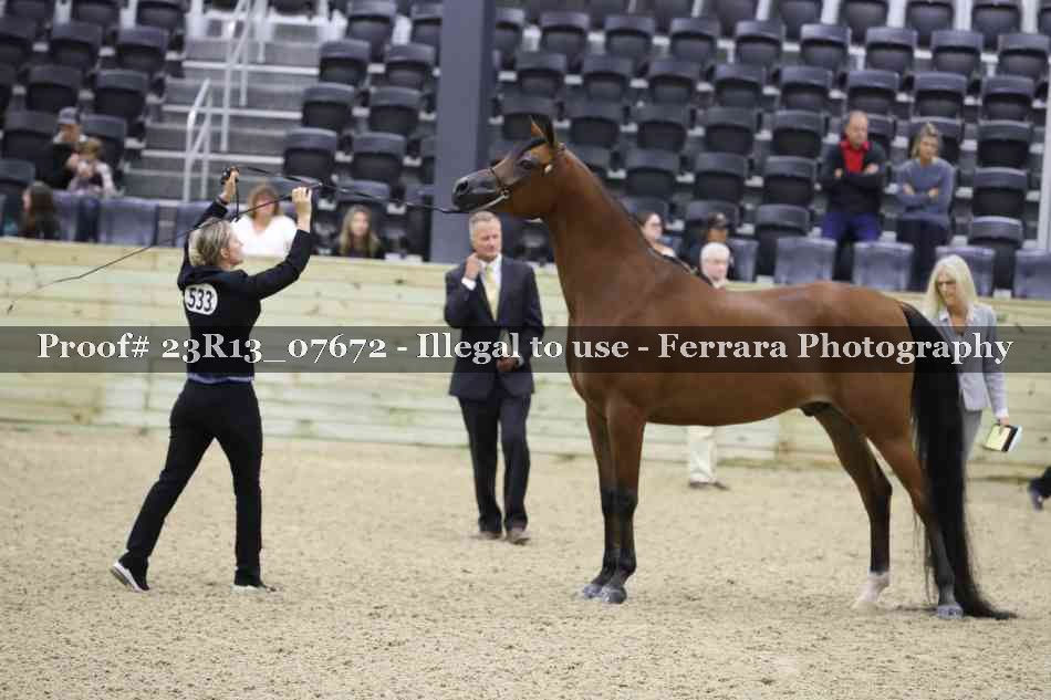 Proof 23R13_07672
