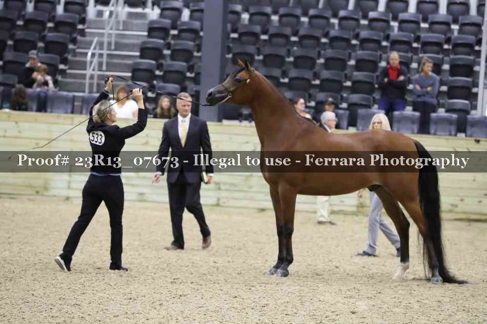 Proof 23R13_07673