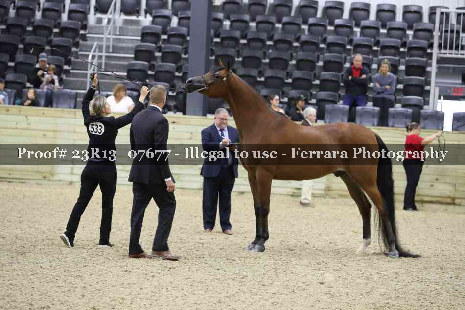 Proof 23R13_07677