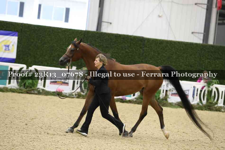 Proof 23R13_07678