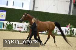 23R13_07678 proof