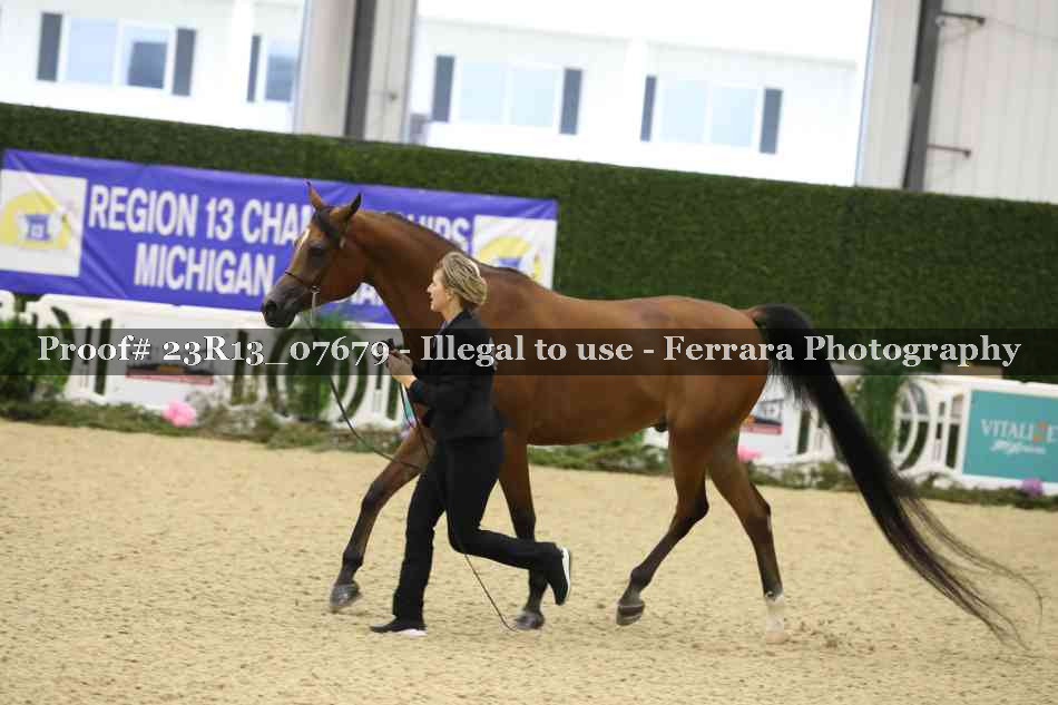Proof 23R13_07679