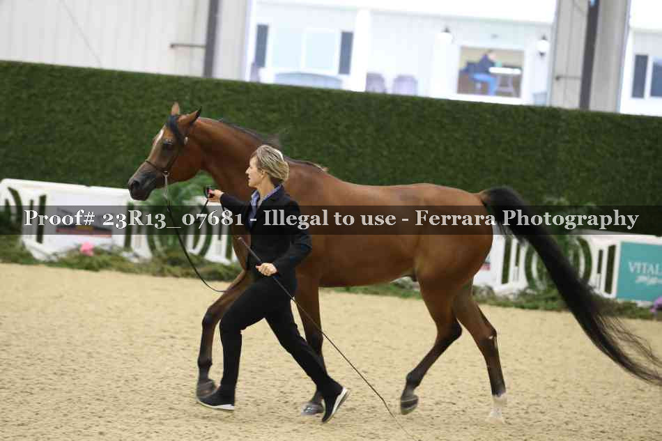 Proof 23R13_07681