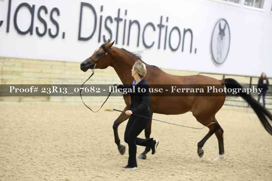 Proof 23R13_07682