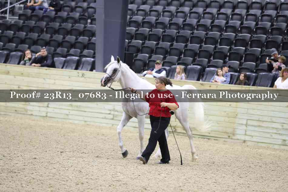 Proof 23R13_07683