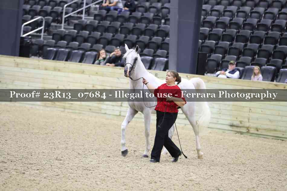 Proof 23R13_07684