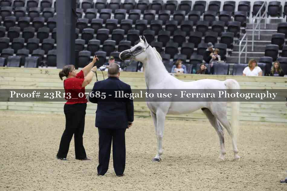 Proof 23R13_07685