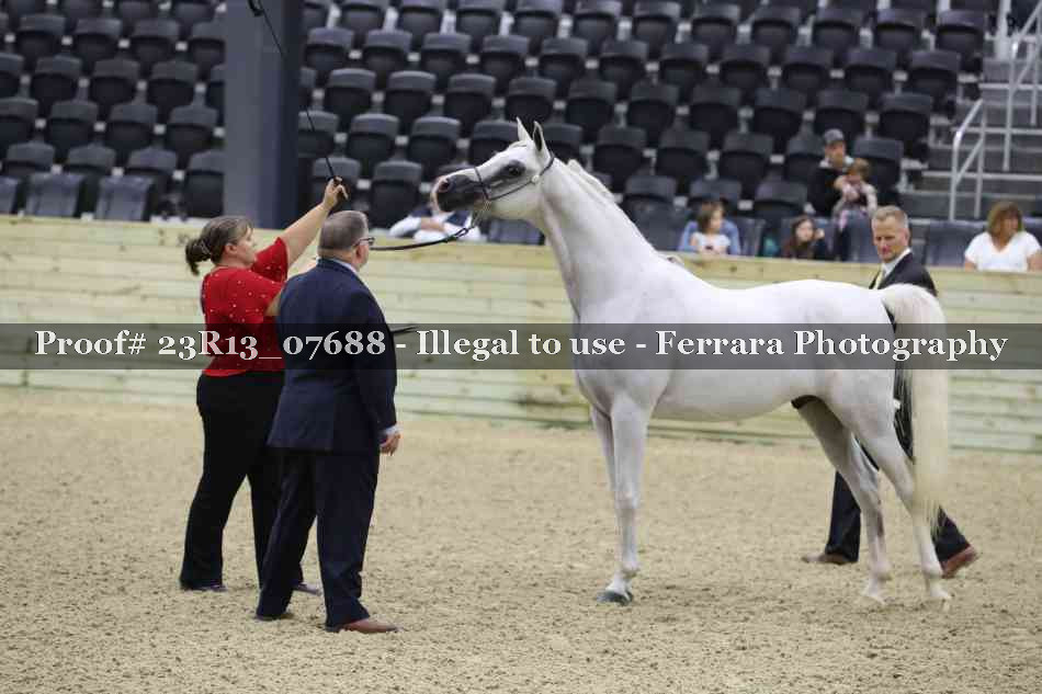 Proof 23R13_07688