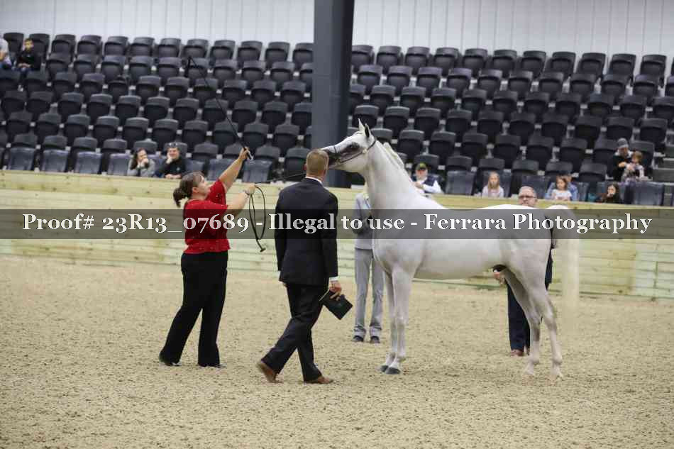 Proof 23R13_07689