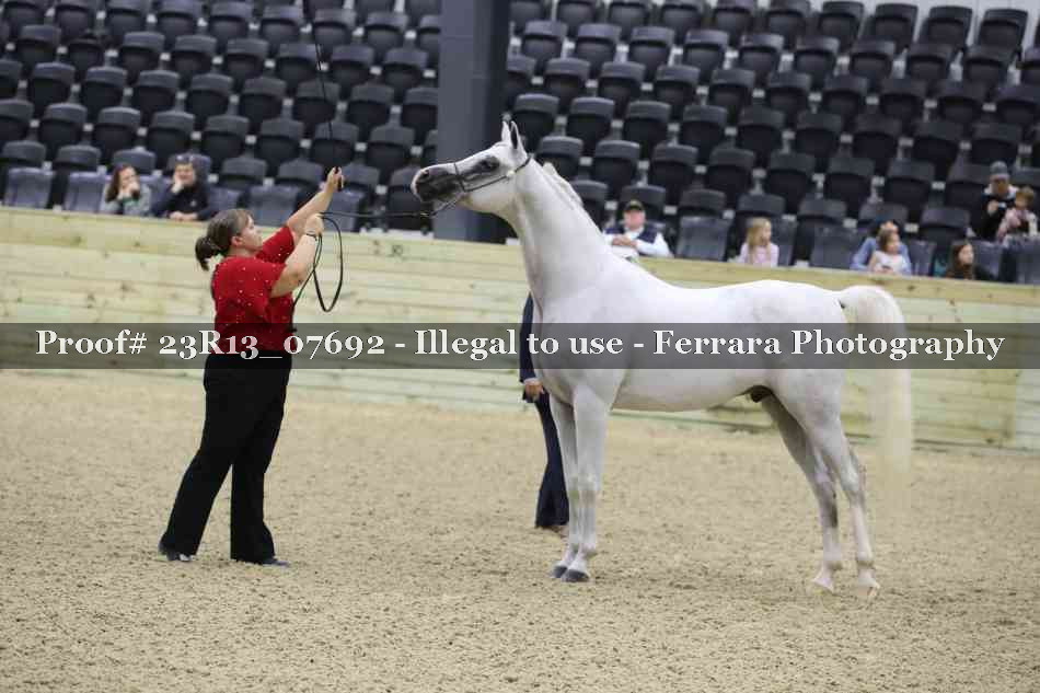 Proof 23R13_07692