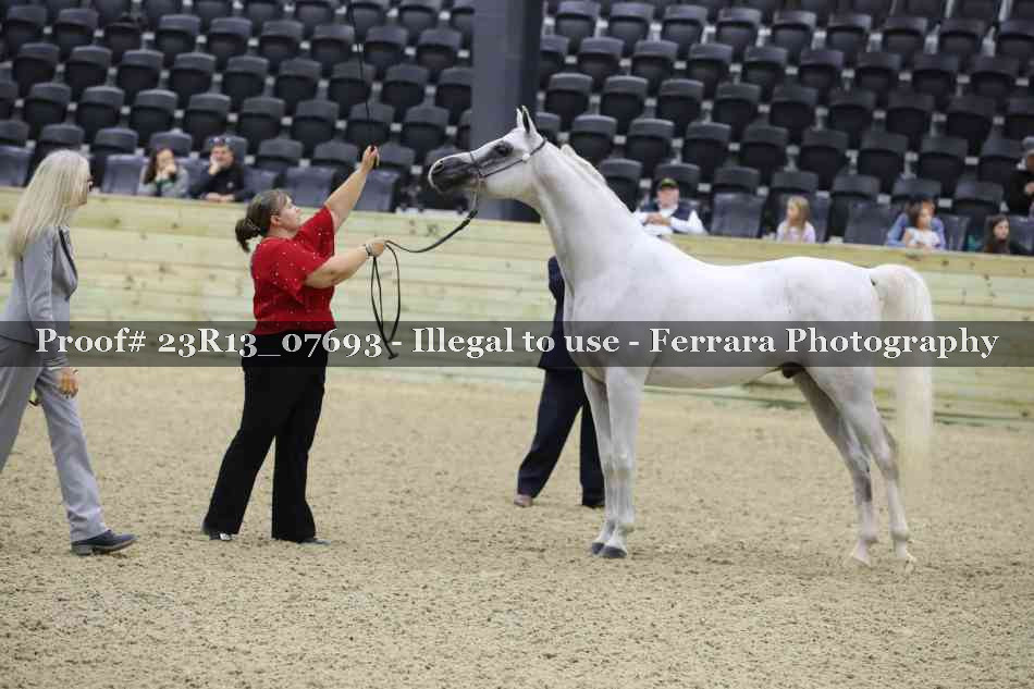 Proof 23R13_07693