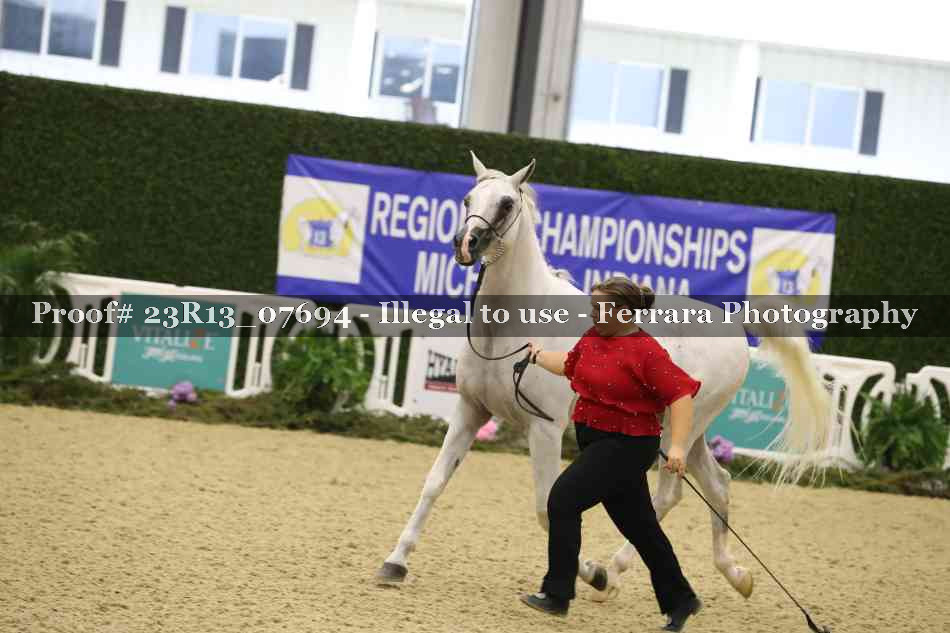 Proof 23R13_07694