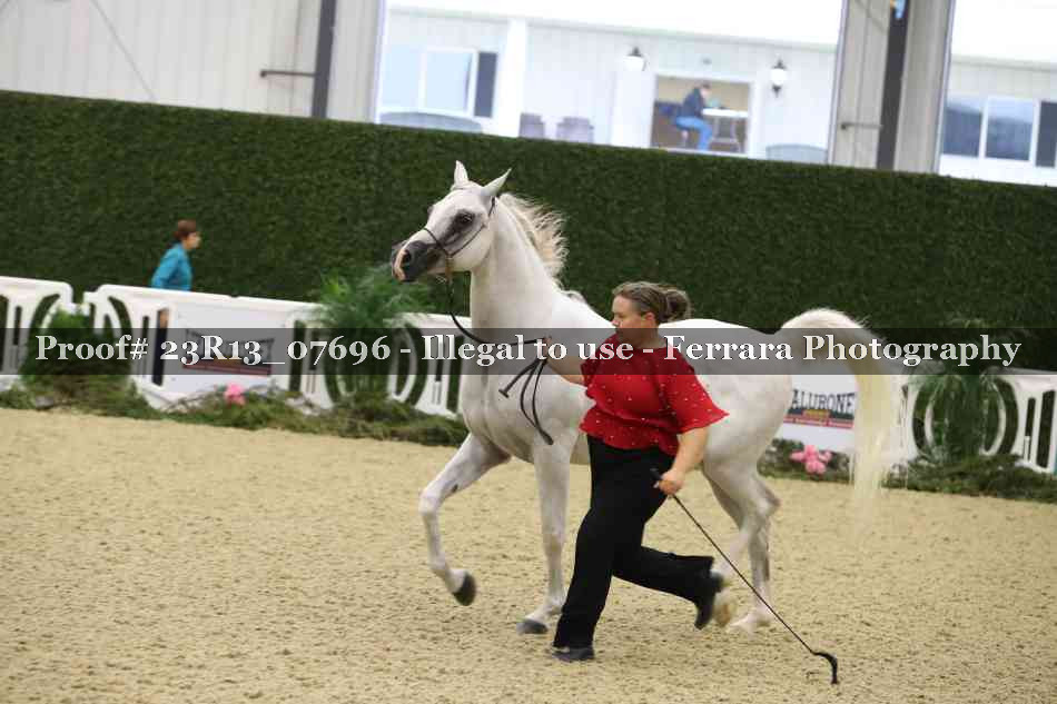 Proof 23R13_07696