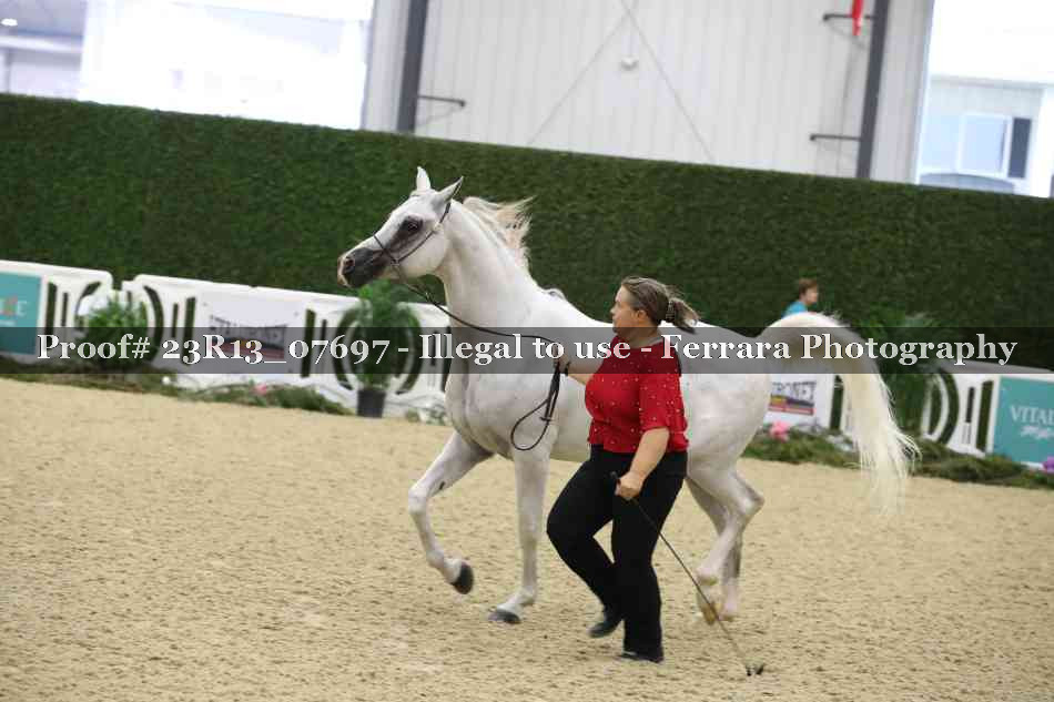 Proof 23R13_07697