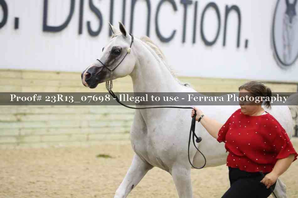 Proof 23R13_07698