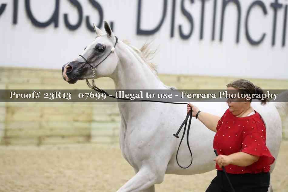 Proof 23R13_07699
