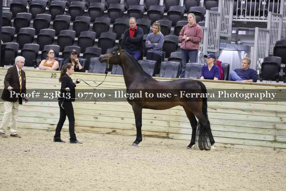 Proof 23R13_07700