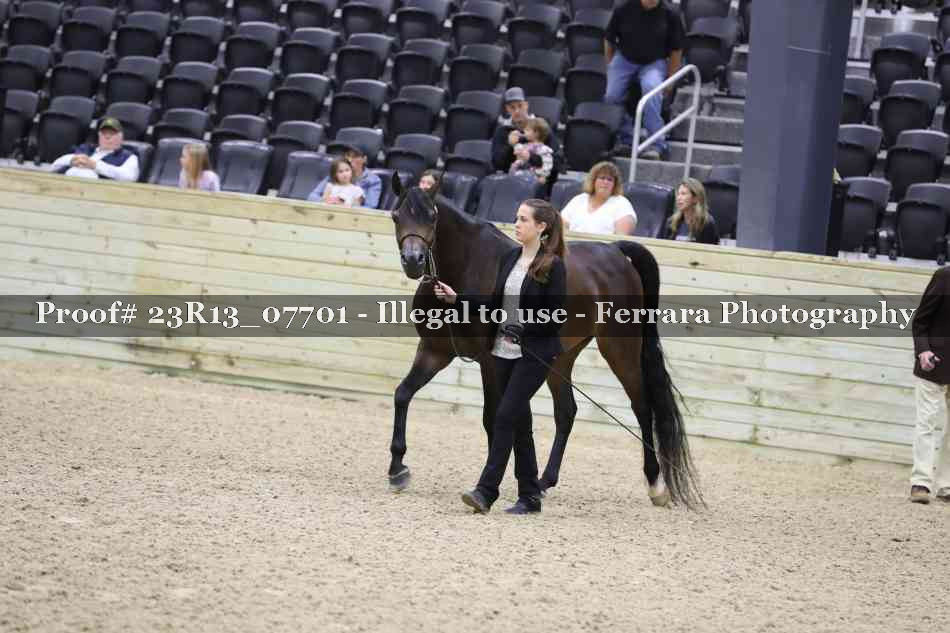 Proof 23R13_07701
