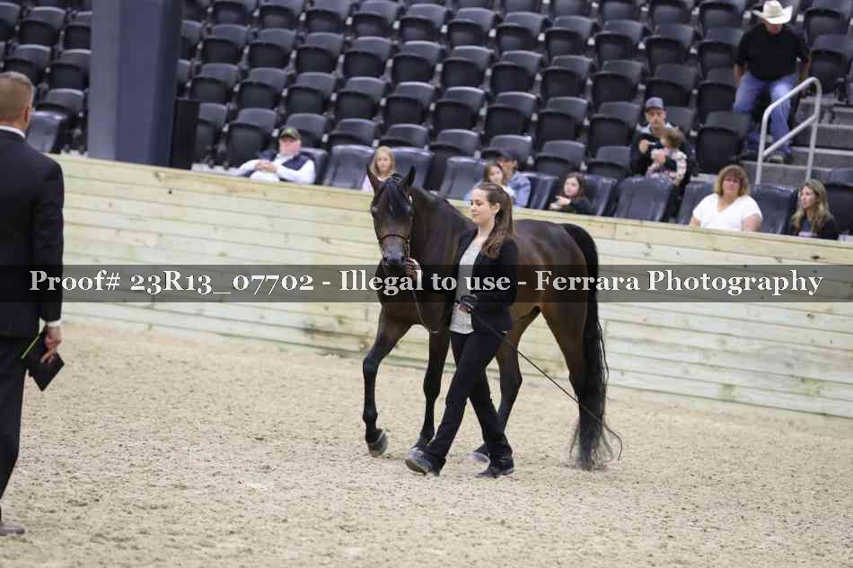 Proof 23R13_07702