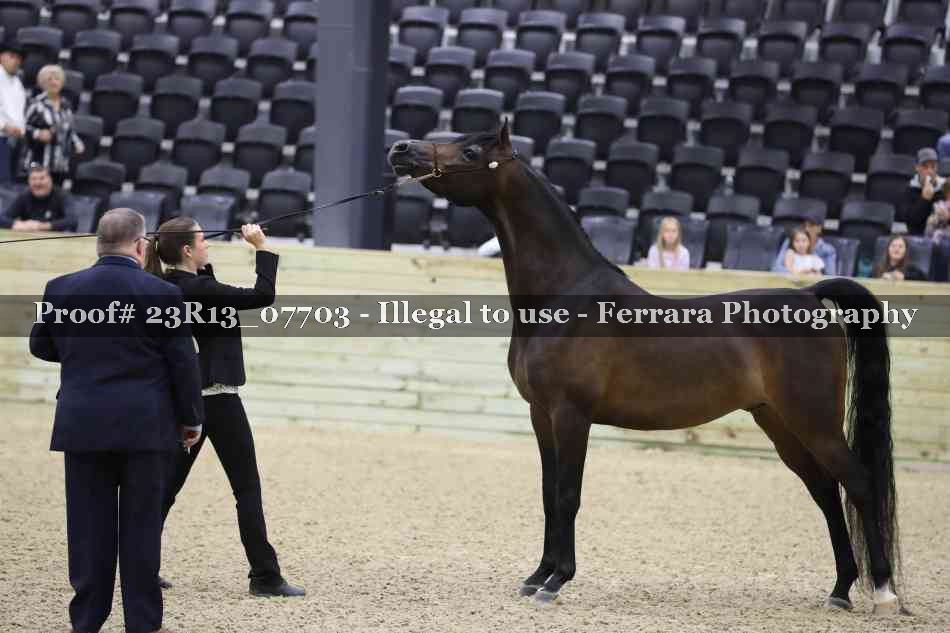 Proof 23R13_07703