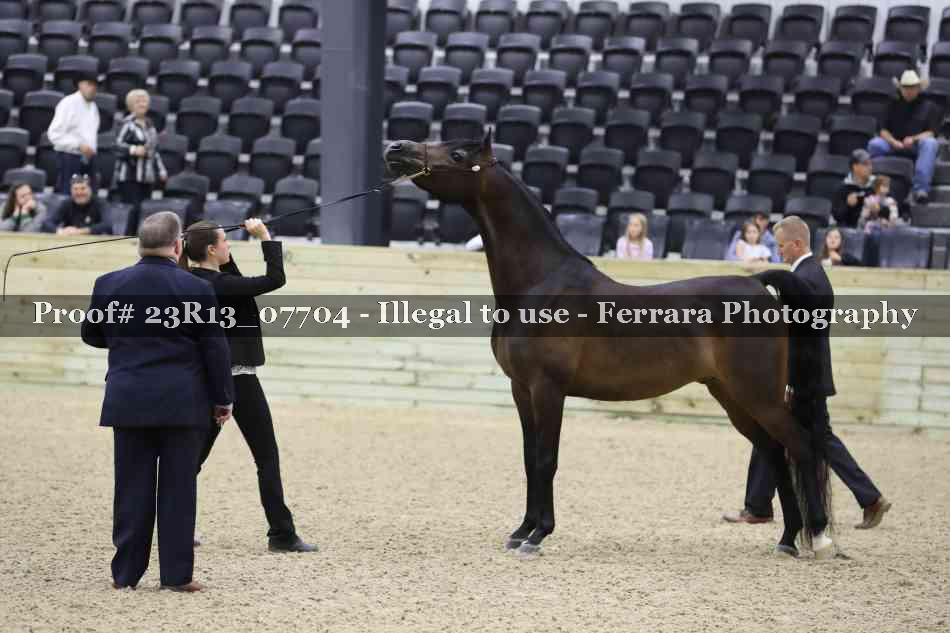 Proof 23R13_07704