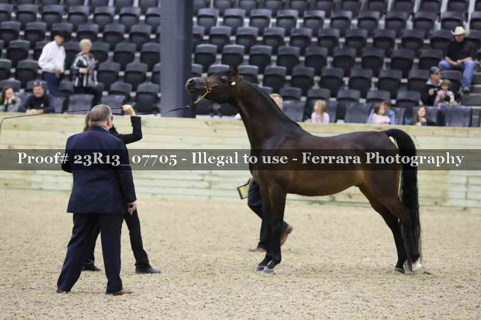 Proof 23R13_07705