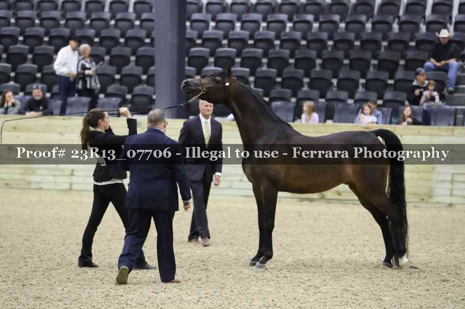 Proof 23R13_07706