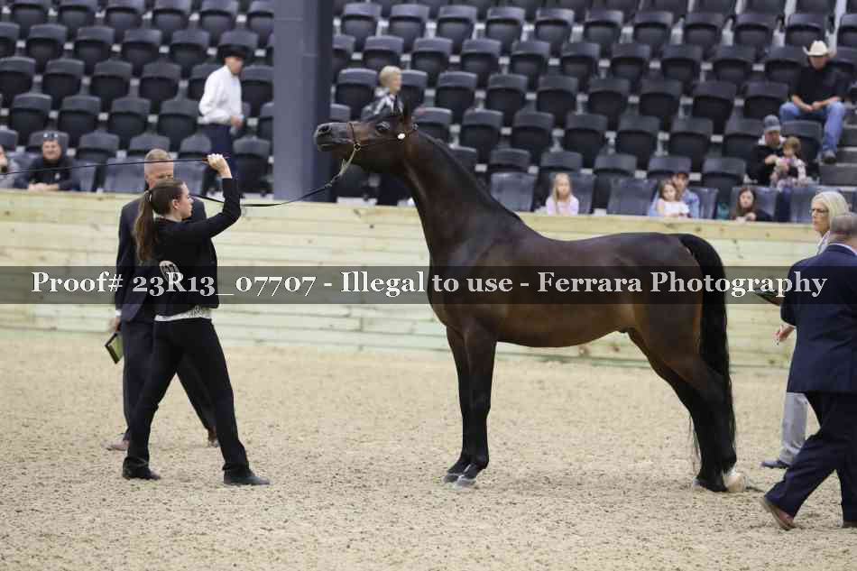 Proof 23R13_07707