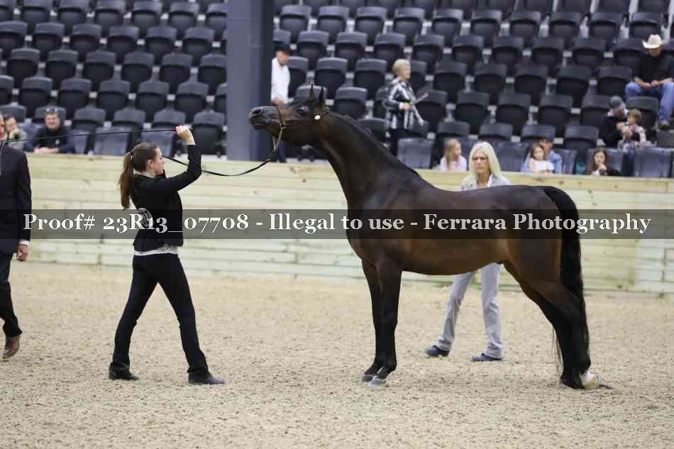 Proof 23R13_07708