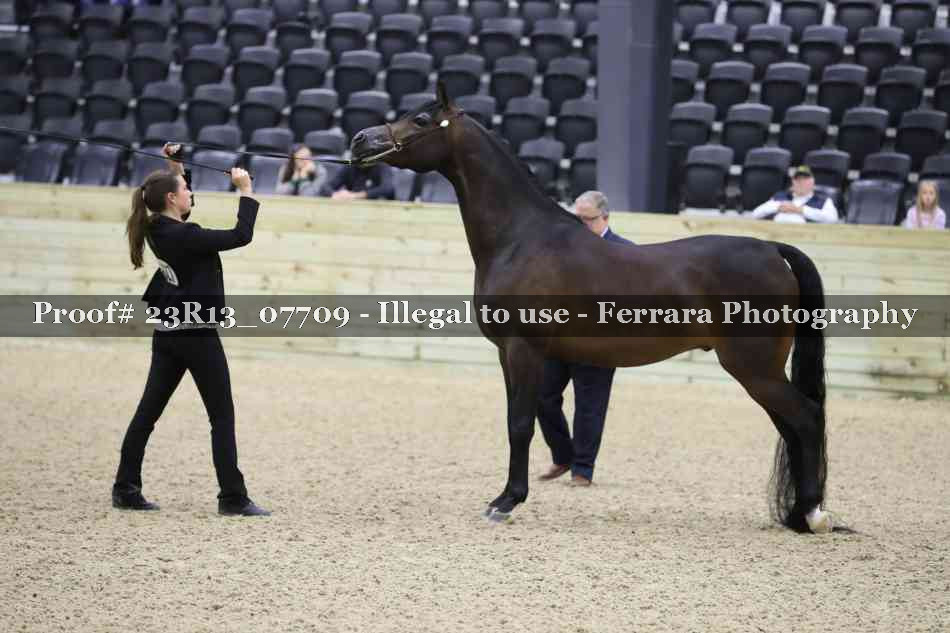 Proof 23R13_07709