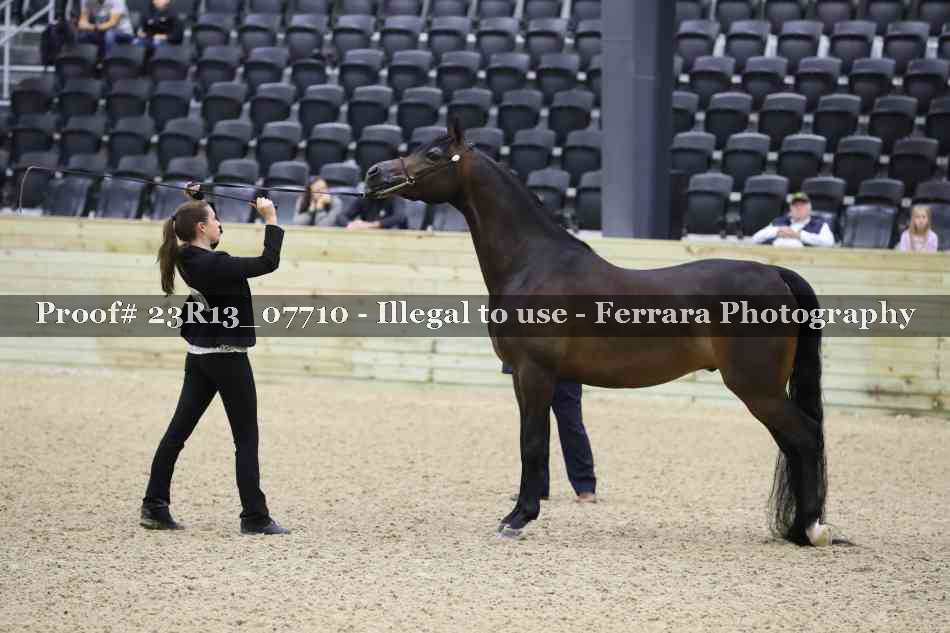 Proof 23R13_07710