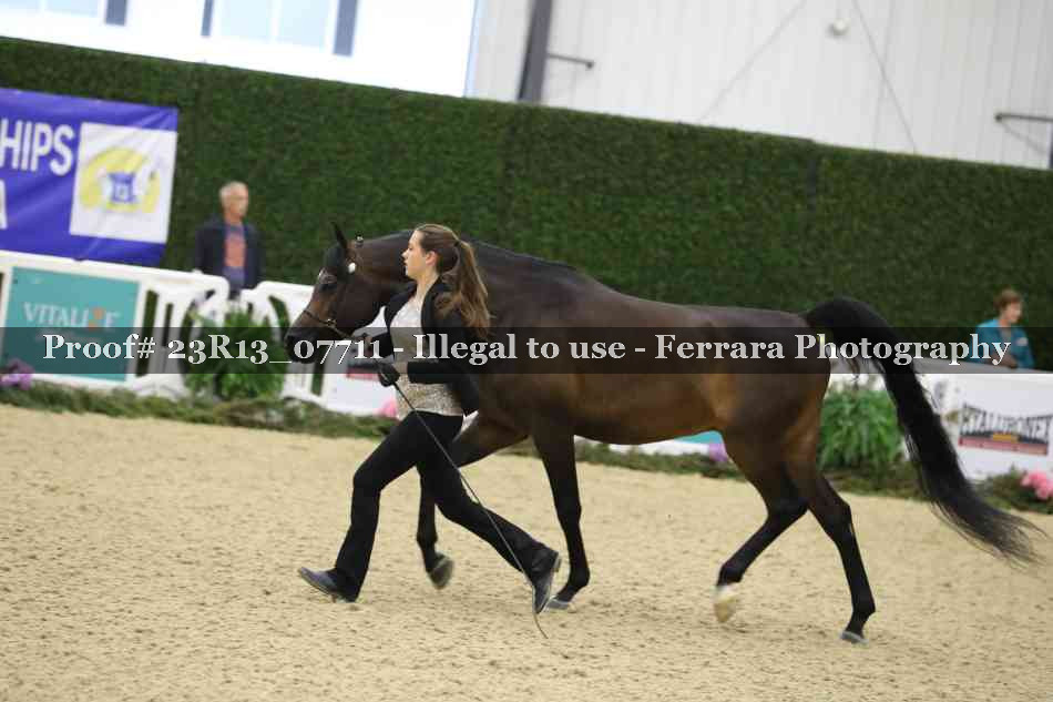 Proof 23R13_07711