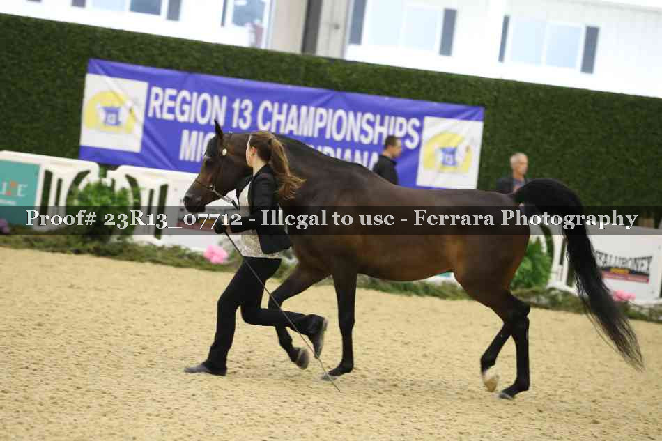 Proof 23R13_07712