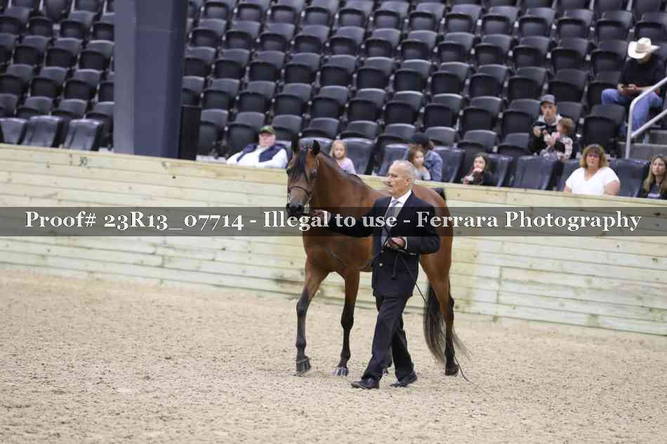 Proof 23R13_07714