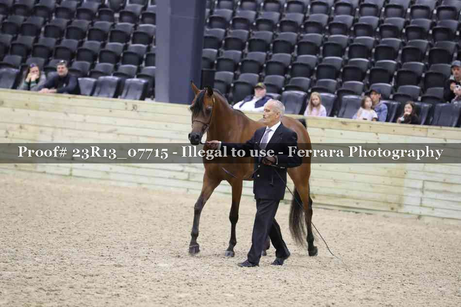 Proof 23R13_07715
