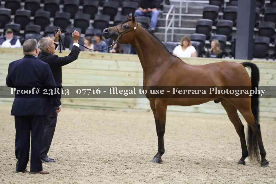 Proof 23R13_07716