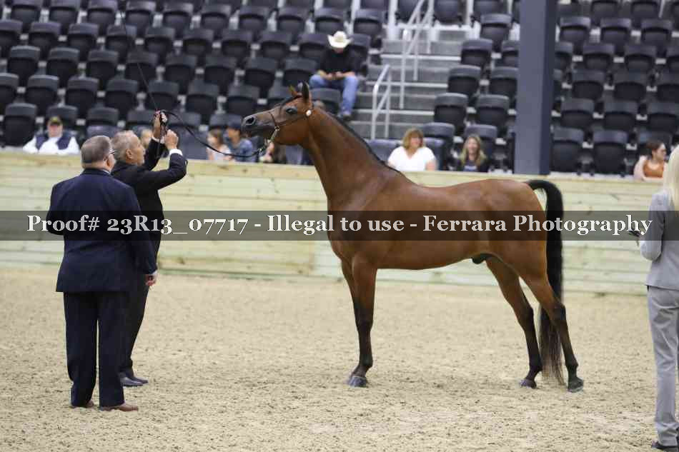 Proof 23R13_07717