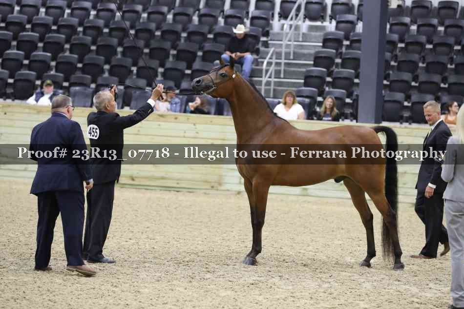 Proof 23R13_07718