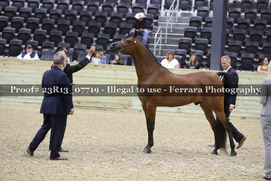 Proof 23R13_07719