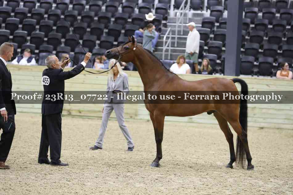 Proof 23R13_07722
