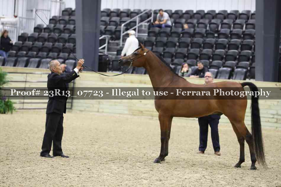 Proof 23R13_07723