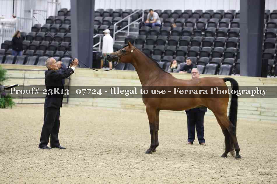 Proof 23R13_07724