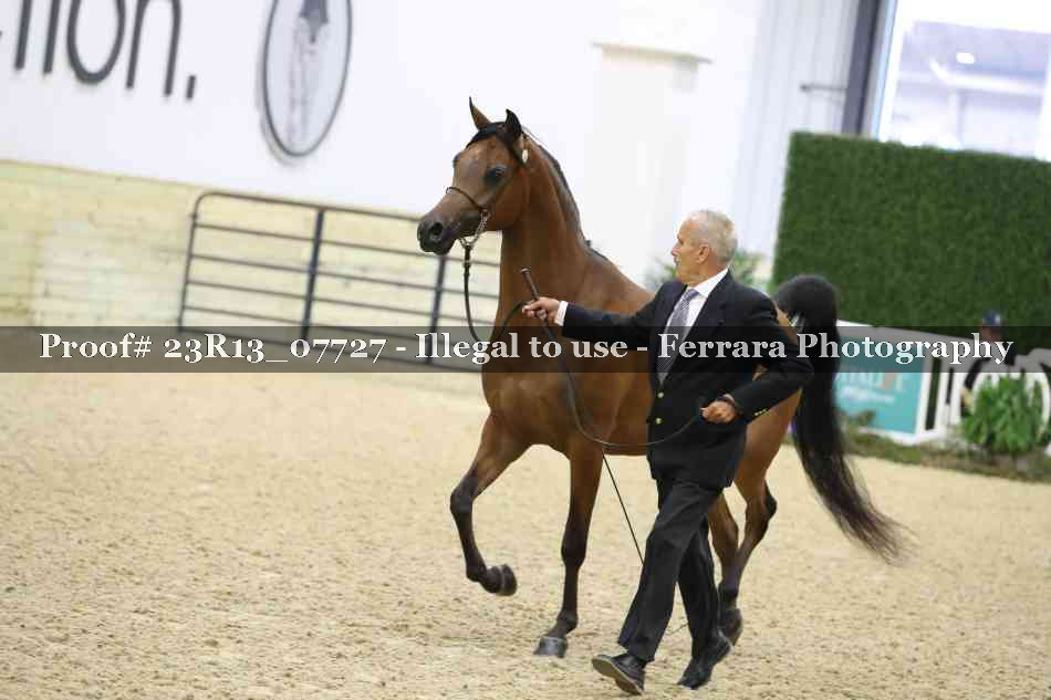 Proof 23R13_07727